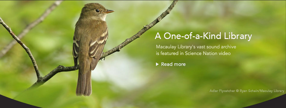 Cornell Laboratory of Ornithology