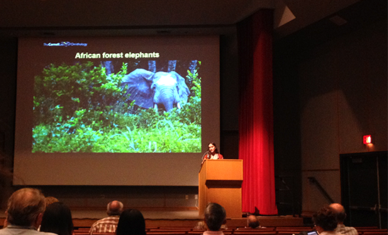 Daniela – giving her talk about acoustic communication in African forest elephants.