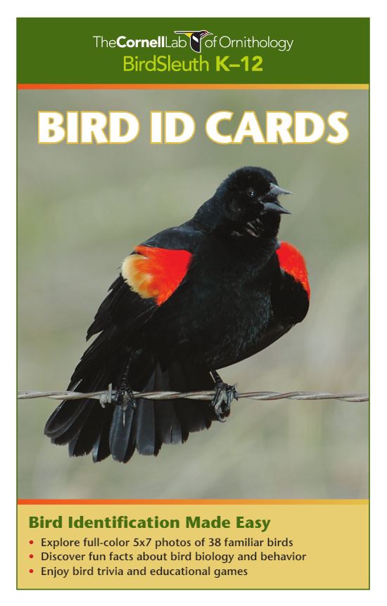 bird id cards cover - States: The cornell lab of ornithology bird sleuth K-12. Bird ID Cards. Bird identification made easy. Explore full color 5x7 photos of 38 familiar birds. Discover fun facts about bird biology and behavior. Enjoy bird trivia and educational games.