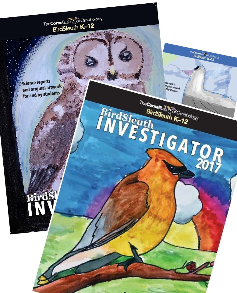 Bird Sleuth Investigator covers