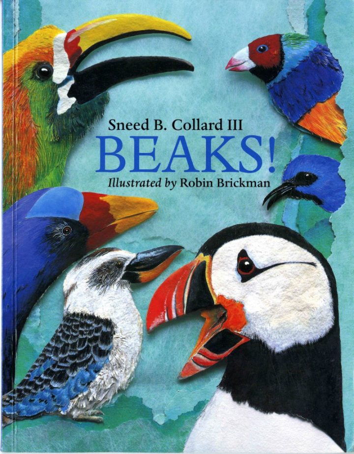 Beaks book cover by Sneed B. Collard the 3rd and Illustrated by Robin Brickman