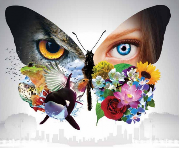 Citizen Science book cover showing a butterfly with one upper wing being a picture of a person's eye and the other being of an owl eye with the lower wing portions being animals and flowers.
