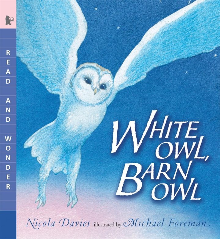 White Owl, Barn Owl Book cover by Nicola Davies and Illustrated by Michael Foreman