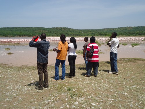 Birdwatching in Kenya