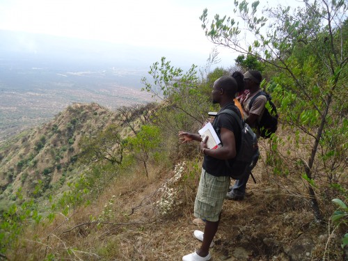 Birdwatching in Kenya mountain