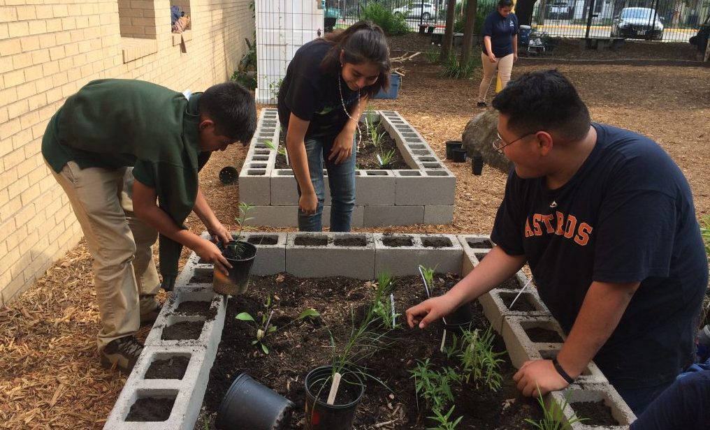 Students planting garden