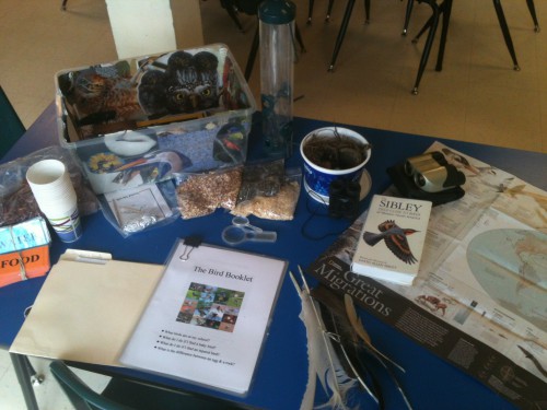 Things in Nature Table Display
