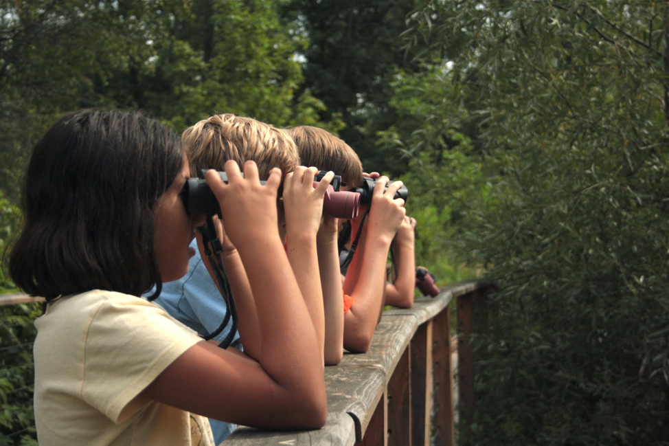 Kids looking through binoculars on a bridge