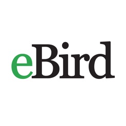 eBird app icon