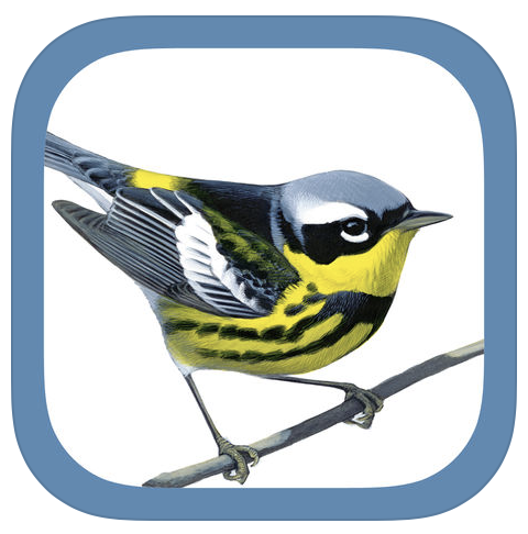 Sibley Birds App Icon