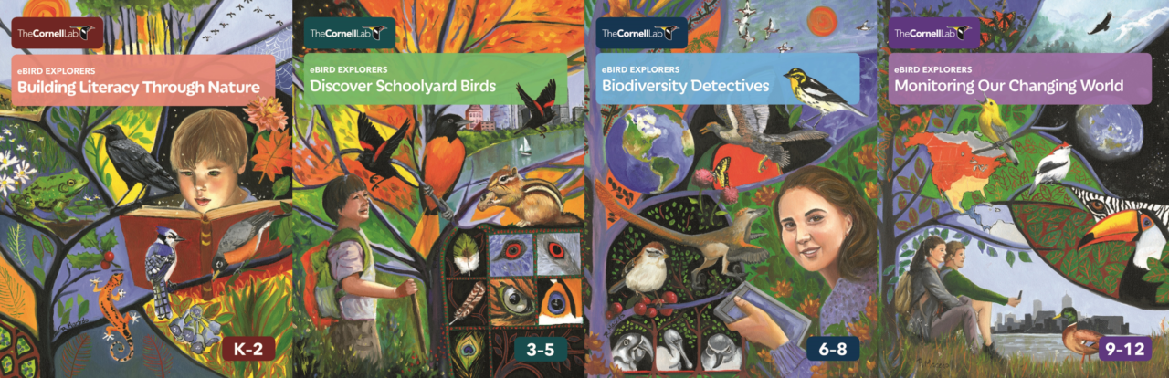 Covers for the eBird Explorers K-2, 3-5, 6-8, and 9-12.