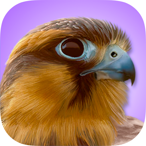 iBird Pro App Icon