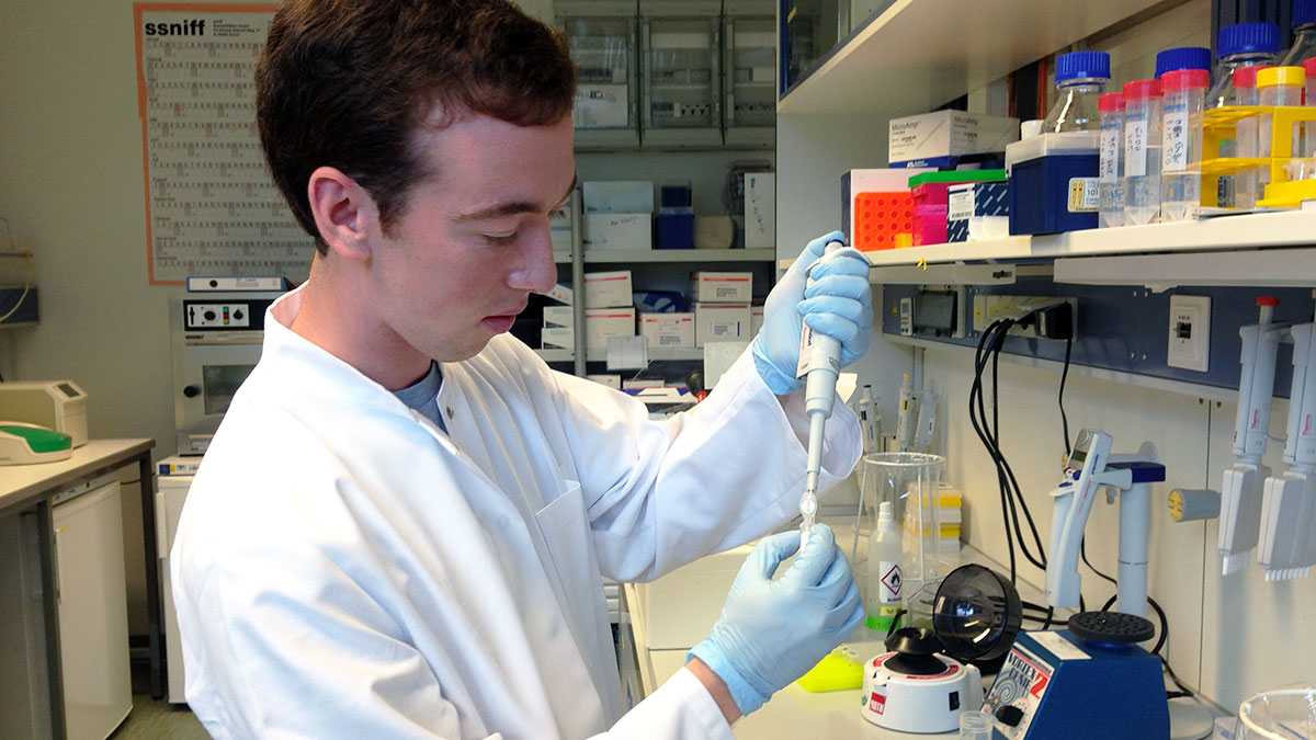 Undergraduate research grants nih image