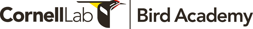 Bird Academy