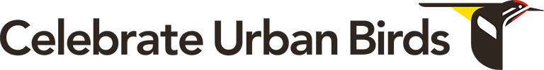 Celebrate Urban Birds