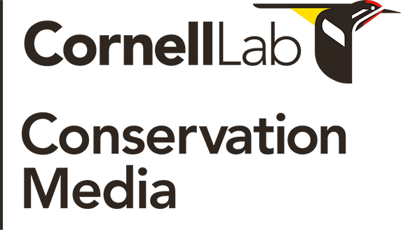 Conservation Media
