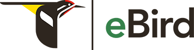 eBird