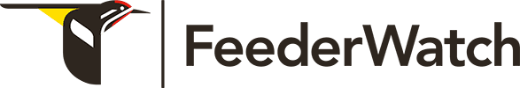 FeederWatch