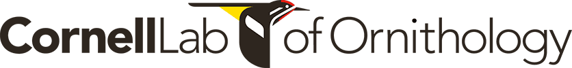 The Cornell Lab of Ornithology