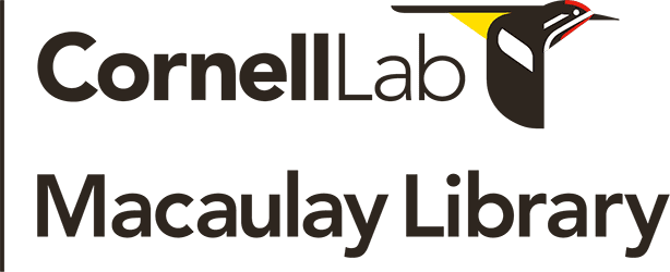 Macaulay Library