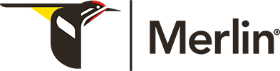 Merlin