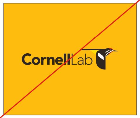 Full color logo on gold background