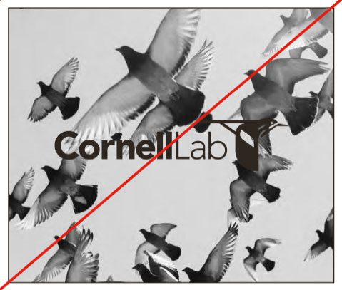 Logo with no contrast with background