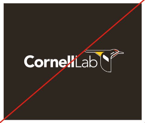 Full color logo on black background