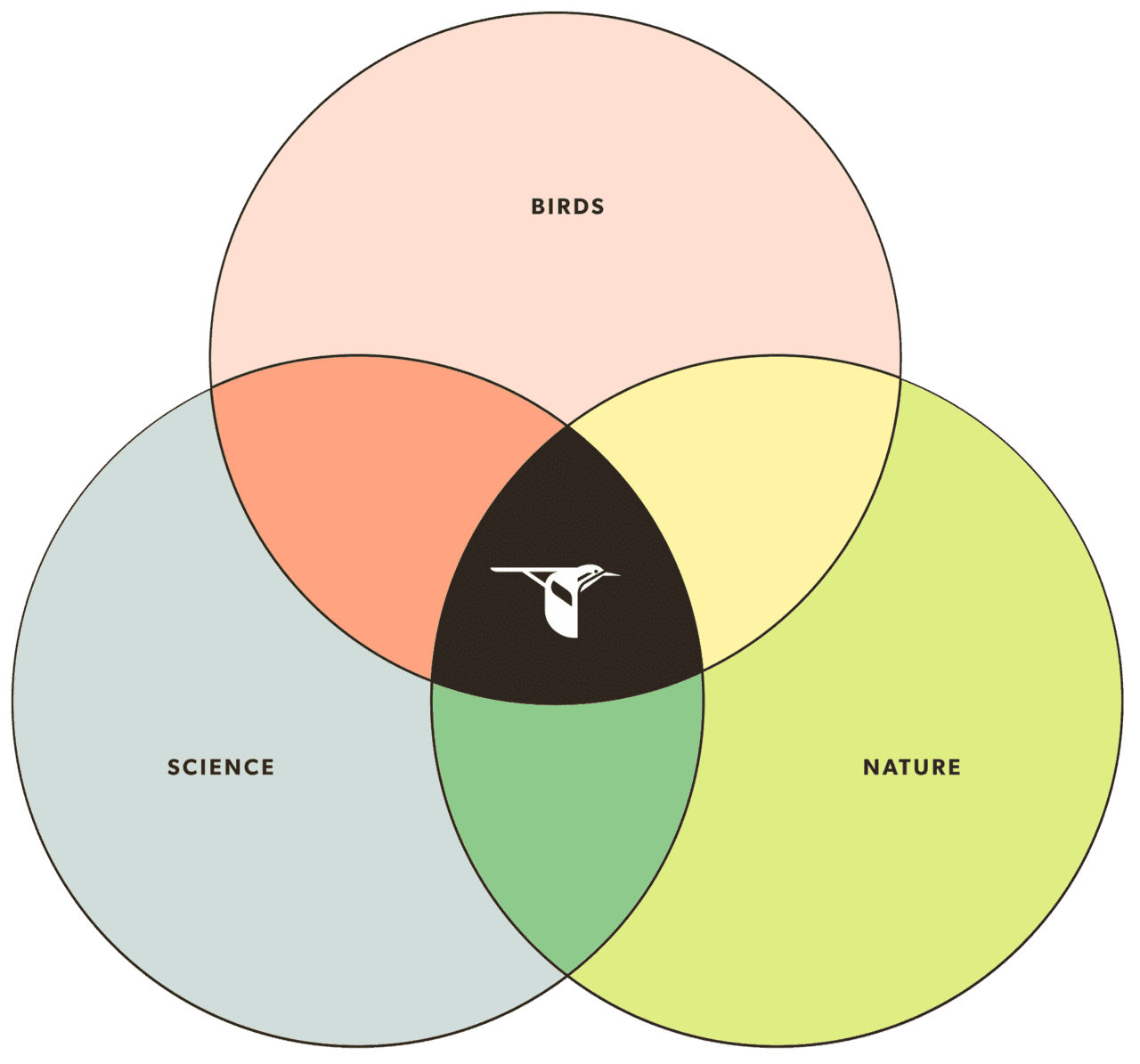 Birds, Science & Nature