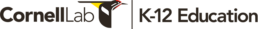 K-12 Education