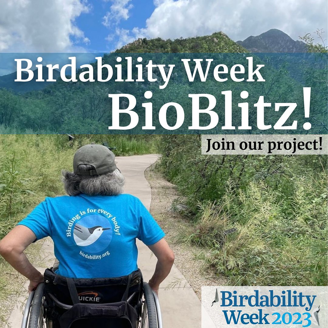 Join Birdability Week BioBlitz