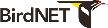Cornell Lab | BirdNET