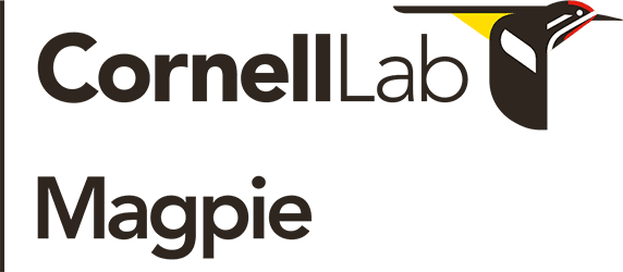Cornell Lab | Magpie