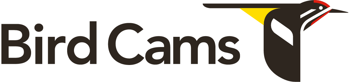 Cornell Lab | Bird Cams
