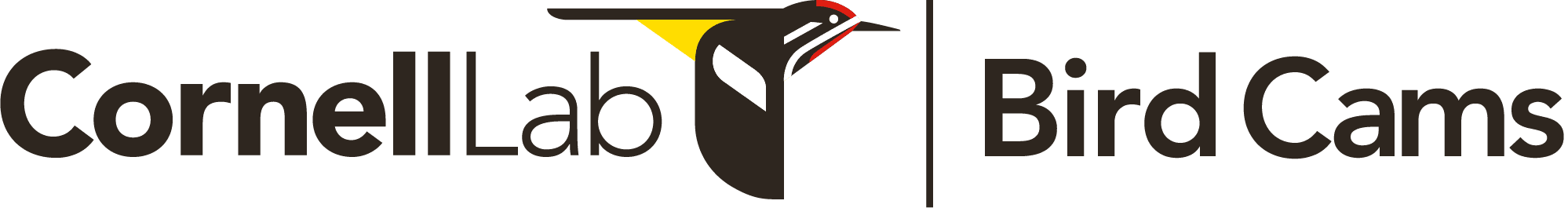 Cornell Lab | Bird Cams