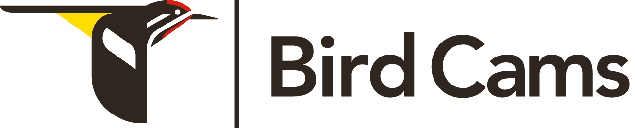 Cornell Lab | Bird Cams