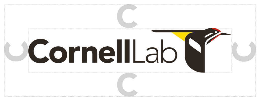 Clear space around the Cornell Lab logo