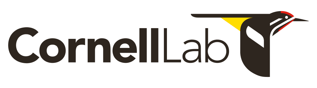 Cornell Lab primary logo