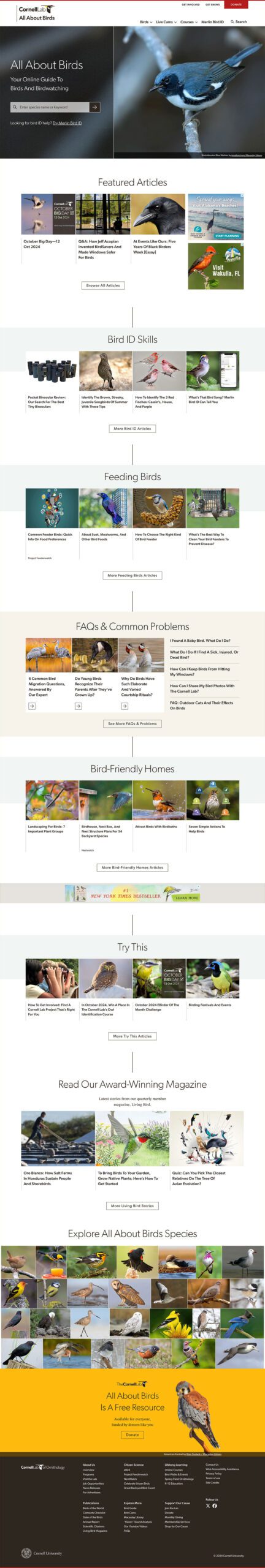 Go to the All About Birds website