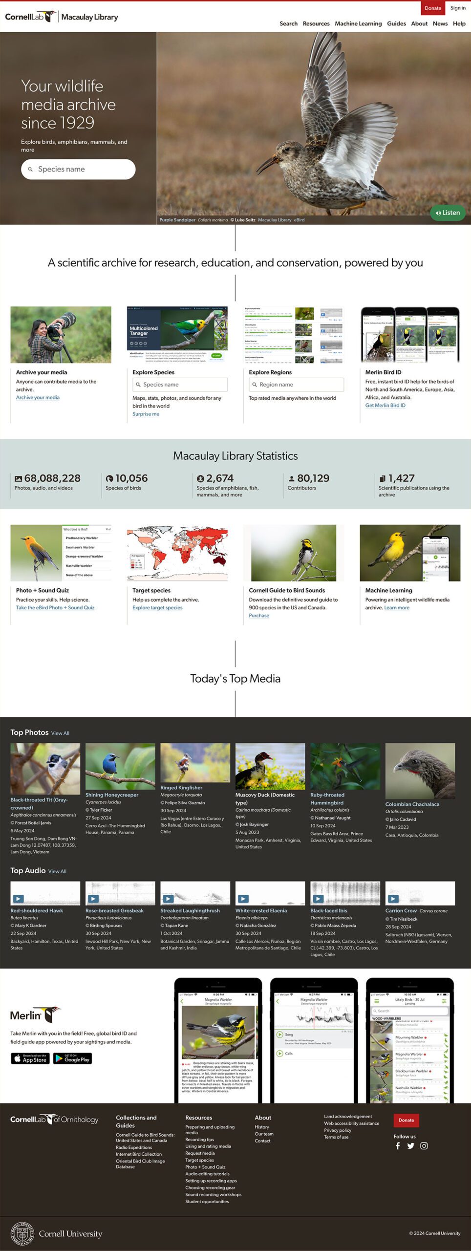 Go to the Bird Academy website