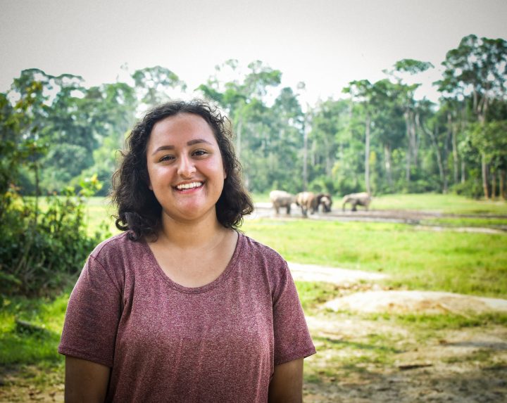 Ana Verahrami at Dzanga Bai, Central African Republic (CAR)