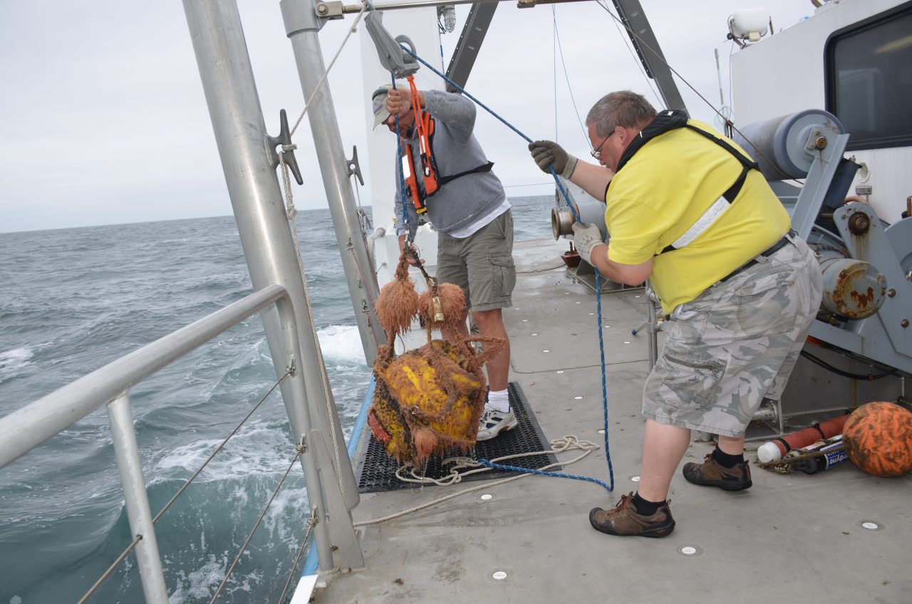 Rob Nilsen and Fred Channell hauling a MARU onto the deck.