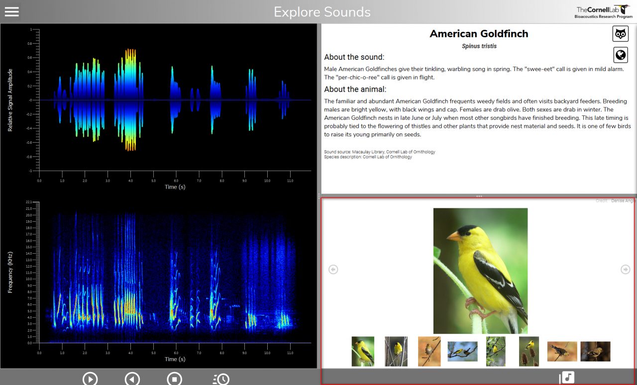 Image and video display panel in Raven Exhibit 2.0