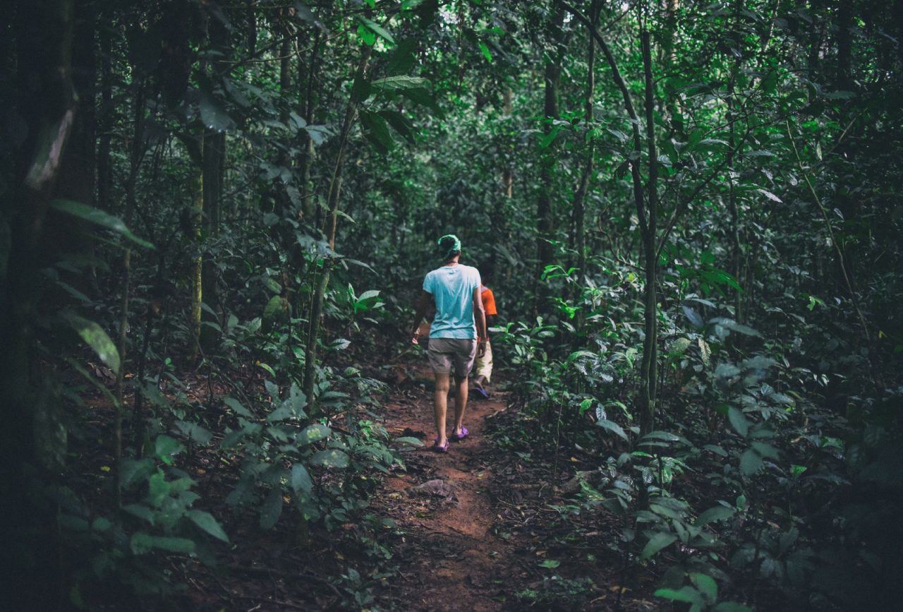 The walk home from the bai © Anahita Verahrami