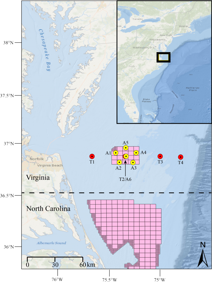 Map of the study area with recorders positioned across the continental shelf and in the wind energy lease blocks.