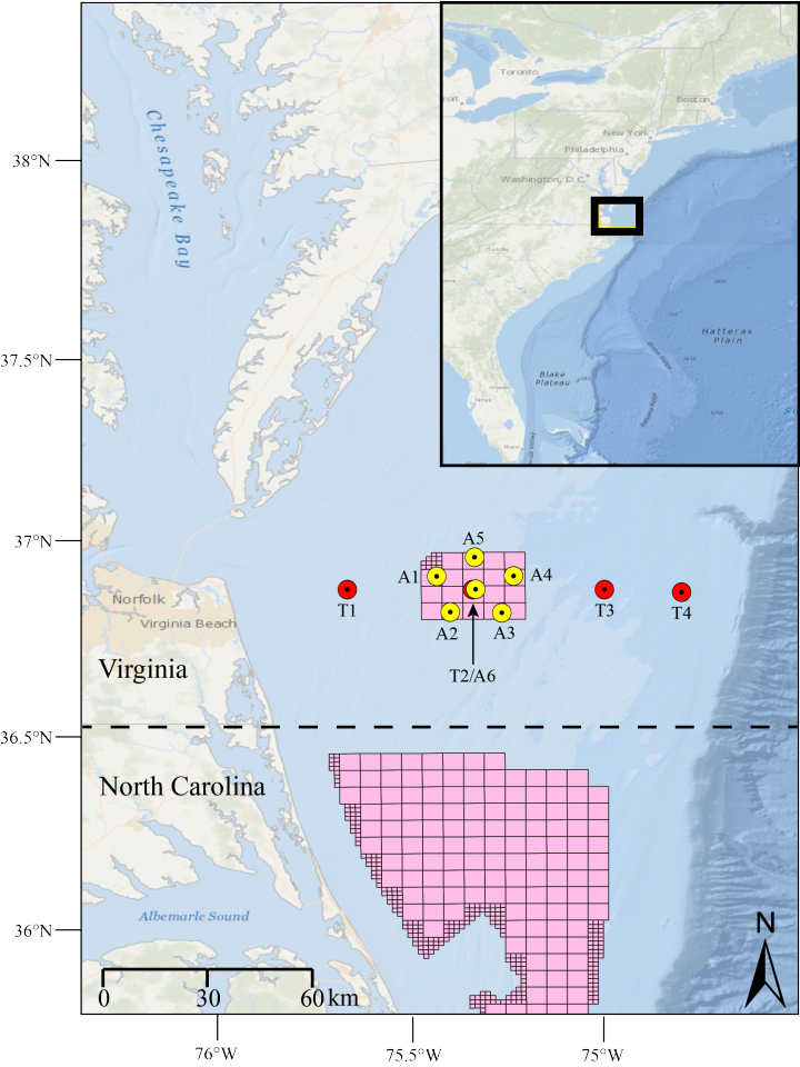 Map of the study area with recorders positioned across the continental shelf and in the wind energy lease blocks.