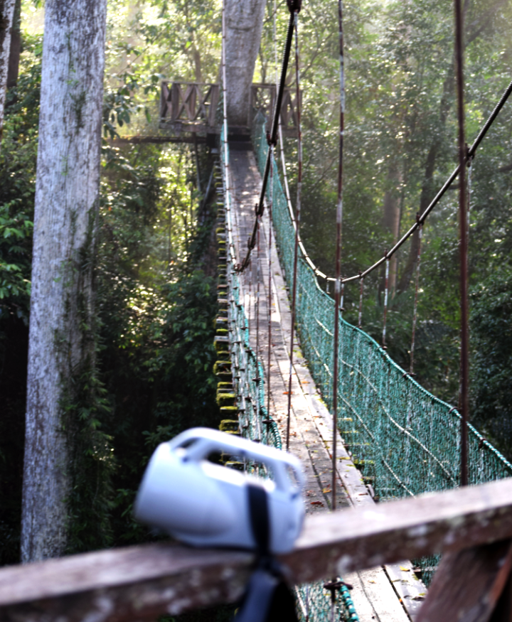 The canopy walk at Maliau Basin Conservation Area, with the speaker used to broadcast gibbon calls in the foreground.