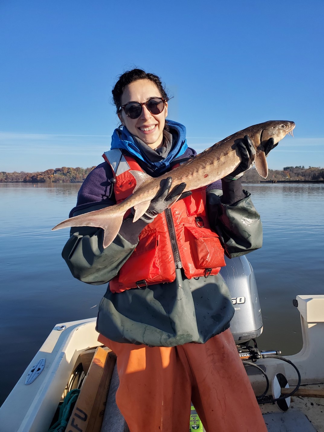 Rebecca Cohen, Ph.D.