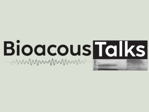 BioacousTalks