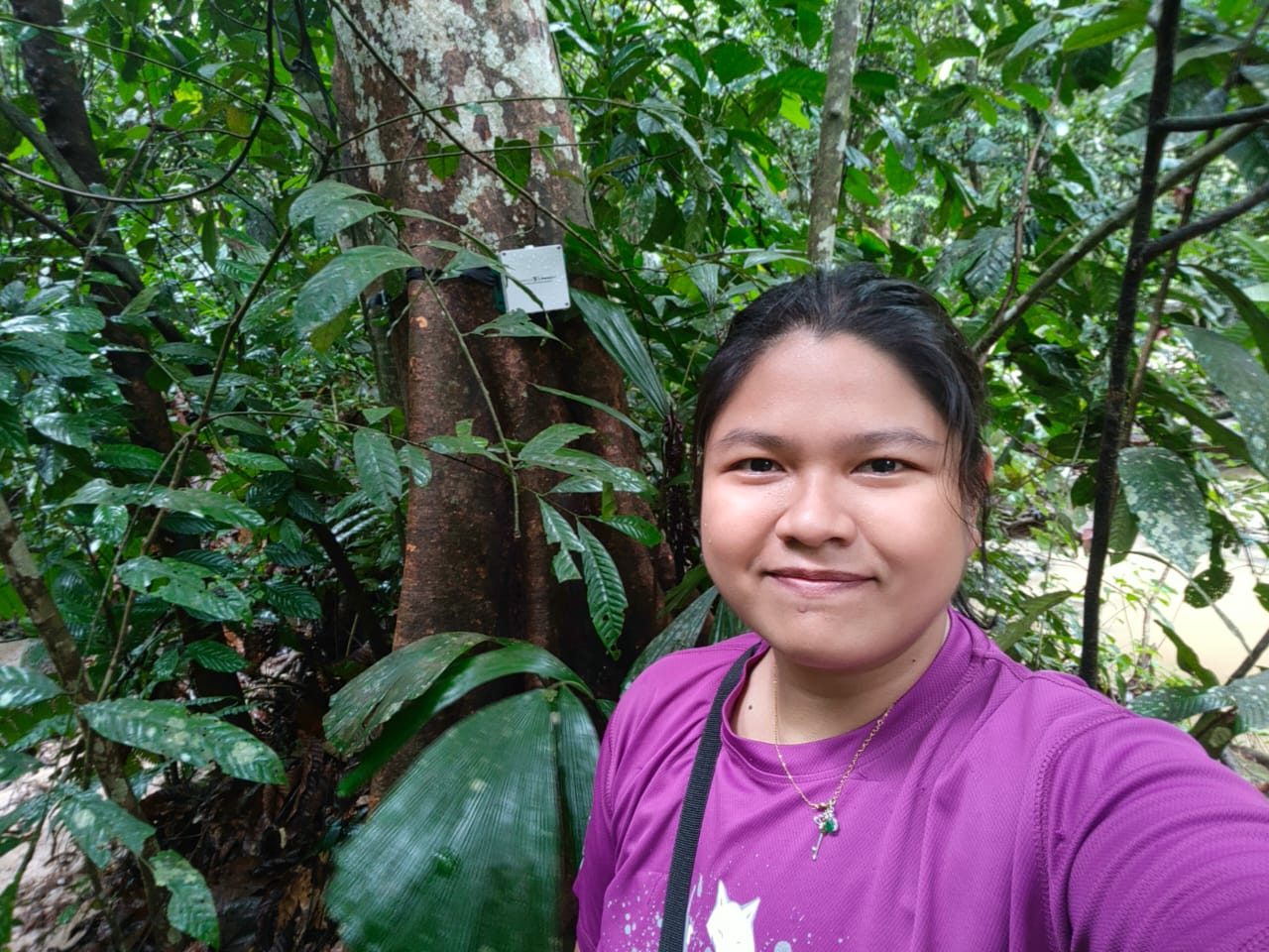 Scientist in front of passive acoustic recorder in a forest